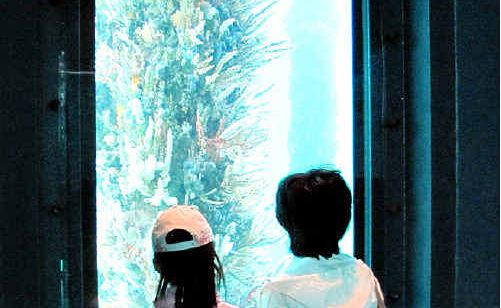 GARDEN OF EDEN: Tourists are mesmerised by the colours. GARDEN OF EDEN: Tourists are mesmerised by the colours.